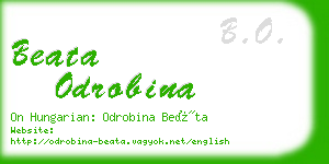 beata odrobina business card